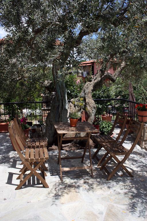 Aphelion Holiday Apartments Ayios Nikolaos Bagian luar foto